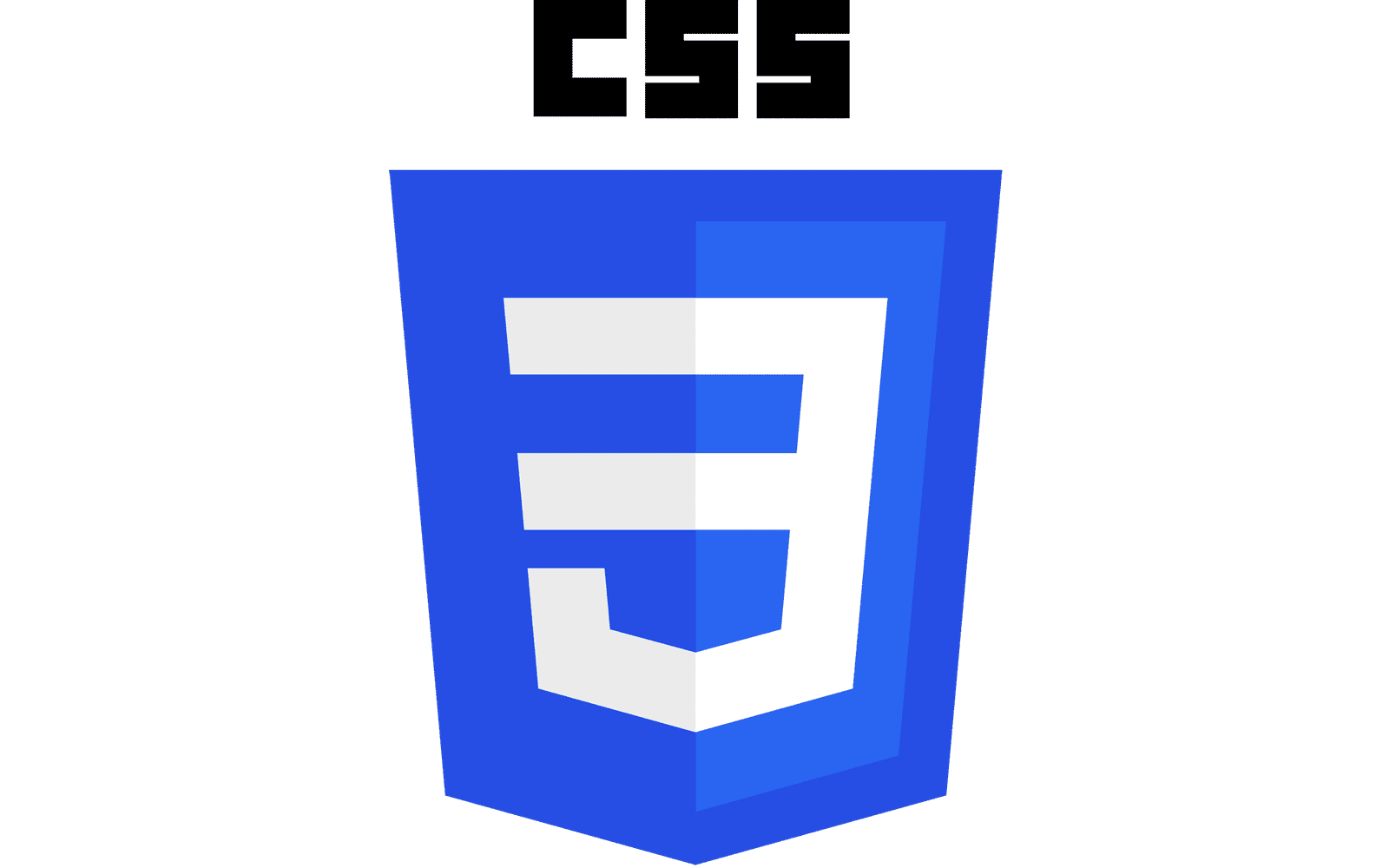 CSS-Logo
